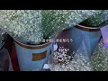 君二詠ム。/とた (弾き語りcover)