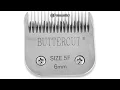 Download Lagu Geib Buttercut Dog Clipper Blades Review: Durable, Precision Grooming for Your Pet
