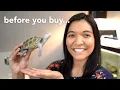 things you NEED to know BEFORE getting a turtle watch this before you buy one
