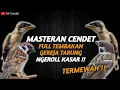 Lagu TERMEWAH..!!!MASTERAN CENDET FULL TEMBAKAN GEREJA TARUNG || NGEROLL KASAR !!