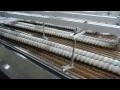 003 - Complete Swiss Roll Manufacturing Line