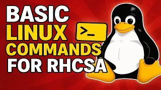 Basic Linux Commands Perfect for RHCSA Beginners