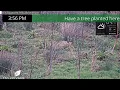 Live Camera Axis P5655-E