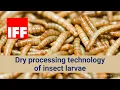 Download Lagu REINARTZ Partner IFF Braunschweig  - dry processing technology