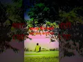 Download Lagu #reelsvideo ##amar din kate to raat kate na #shortsvideo