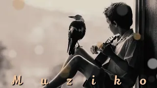 موسيقي مسلسل جزيرة غمام روعة 