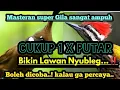 Download Lagu JARANG ADA ‼️MASTERAN Cililin sambung pelatuk DURASI PANJANG SUARA JERNIH...bikin lawan nyubleg..