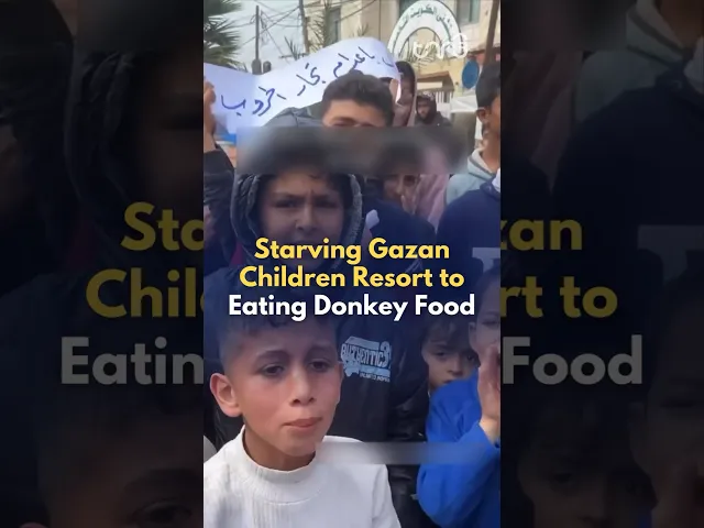 ⁣Due to the Israeli blockade on Gaza, Palestinians resort to eating dead pigeons and donkey food.