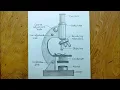 Microscope drawing easy to draw microscope step by step
