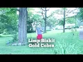 Limp Bizkit- Gold Cobra ALBUM REVIEW