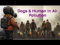 It’s Getting Serious Now- Dogs \u0026 Human Can Not Breathe In Delhi Air.