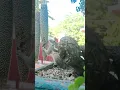 Squirrel Hack