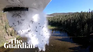 Flying fish shows Utah wildlife agency restocking lake by plane
