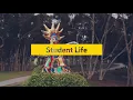 Return to Learn What to Expect from Fall Quarter