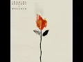 Imagine Dragons    Wrecked Official Audio