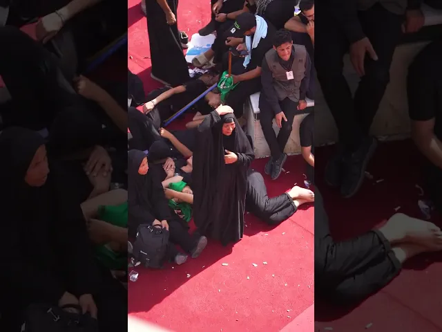 ⁣لولا العشقُ ما ركضوا إليهِ  ...  ولا أرواحُـهم حامت لديه عزاء ركضة طويريج #وفاء_للحسين#وفاء_للثقلين