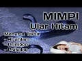 MIMPI ULAR HITAM (Menurut Tafsir Kitab Al-ahlam, Primbon Jawa dan Psikolog)