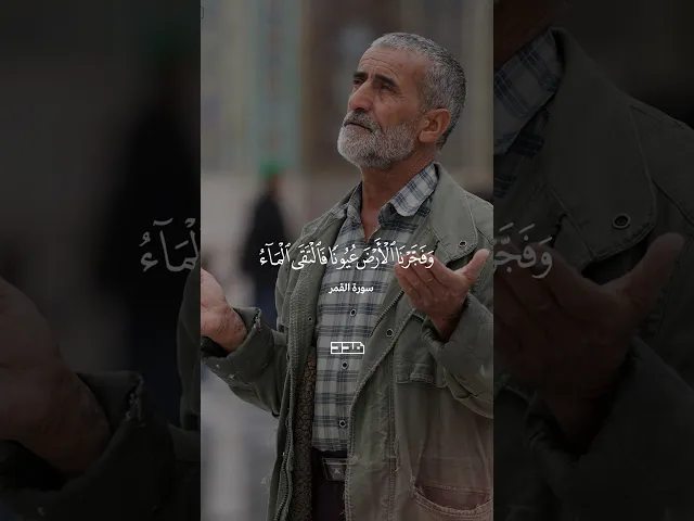 ⁣بسم الله الرحمن الرحيم #سورة_القمر #مقاطع_قرآنية  #القرآن_الكريم