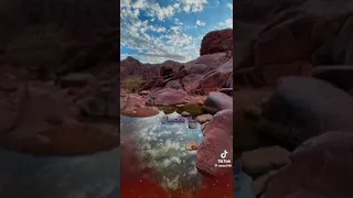 انشوده روعه يعلو ولا يعلى وجل علوه 