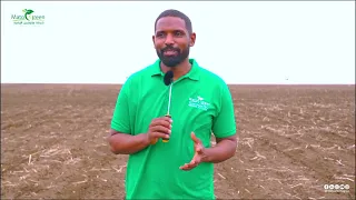 العنوان:هل سيتوقف المزارعون عن الزراعة بسبب غلاء الجاز؟