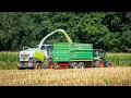 Lagu Corn silage | O.H.Z. Osiek/Nidek | 2025