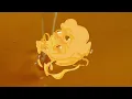 Honey Boy (Spanish Lyric Video)