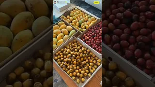 يوميات #خالد_الخالدي في مراسي مصر-الساحل الشمالي اليوم الرابع 28-8-2026