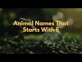 Animal Names That Starts With E
