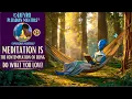 Lagu MEDITATION IS THE CONTEMPLATION OF BEING/DO WHAT YOU LOVE/BE HERE.NOW#healingmusic #pleiadianmantras