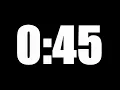 45 SECOND TIMER LOUD ALARM
