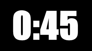 45 SECOND TIMER LOUD ALARM