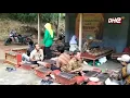 Download Lagu 🔴 Seni karawitan jawi || HUT RI 77 - on perfom