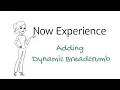 Part 12 - Adding dynamic breadcrumb