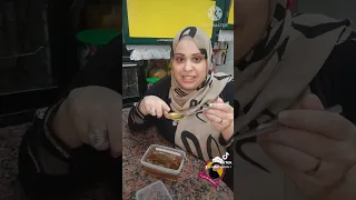 فحص جودة العسل الاصلي من المغشوش في البيت دندنها