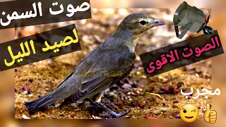 صوت لصيد السمن في الليل ٢٠٢٢ 