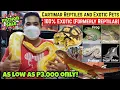 CARTIMAR REPTILES EXOTIC PETS FOR SALE 100 Exotic Snakes Turtles Crocodile Sugar Glider