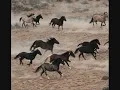 Alicia Keys ft. Adam Levine - Unplugged - Wild Horses