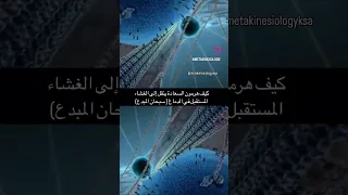 كيف هرمون السعادة ينتقل إلى الغشاء المستقبل في الدماغ      الاكتفاء الذاتي  استكشاف الذات دندنها