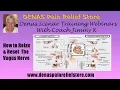 Download Lagu Denas Webinar Training Vagas Nerve