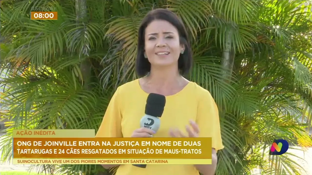 ONG de Joinville entra na justiça por 2 tartarugas e 24 cães resgatados em situação de maus-tratos