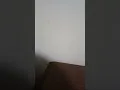 noches De Platicas Entre Hermanos En Cristo buenas noches