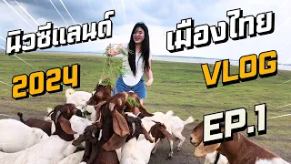 นิวซีแลนด์เมืองไทย ไปวันฝนตก วิ่งหนีฝน!!!