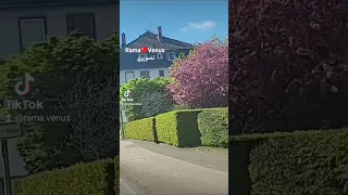 عبد الحليم حافظ سواح حالات واتس 