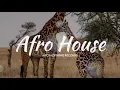 Alan de Laniere & Lady Victory - Vicious Web  | Afro Deep House Mix 2019
