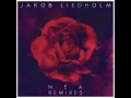 NEA (Danny Howard Remix)