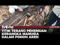 Download Lagu Polisi Autopsi Kerangka Manusia dalam Pohon | Kabar Petang tvOne