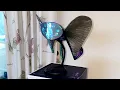 Destiny 2 Lightfall Collector s Edition Unboxing Arrived Early