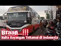 Lagu Braan 🔥🔥Halte Bayangan TerRamai di Indonesia