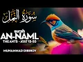 Download Lagu Surah An Naml (سورة النمل) AYAT 15-93 - محمد ديبيروف | Muhammad Dibirov | Quran Recitation (4K)