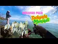 Download Lagu Port Baharu Ternyata Agak Berbisa